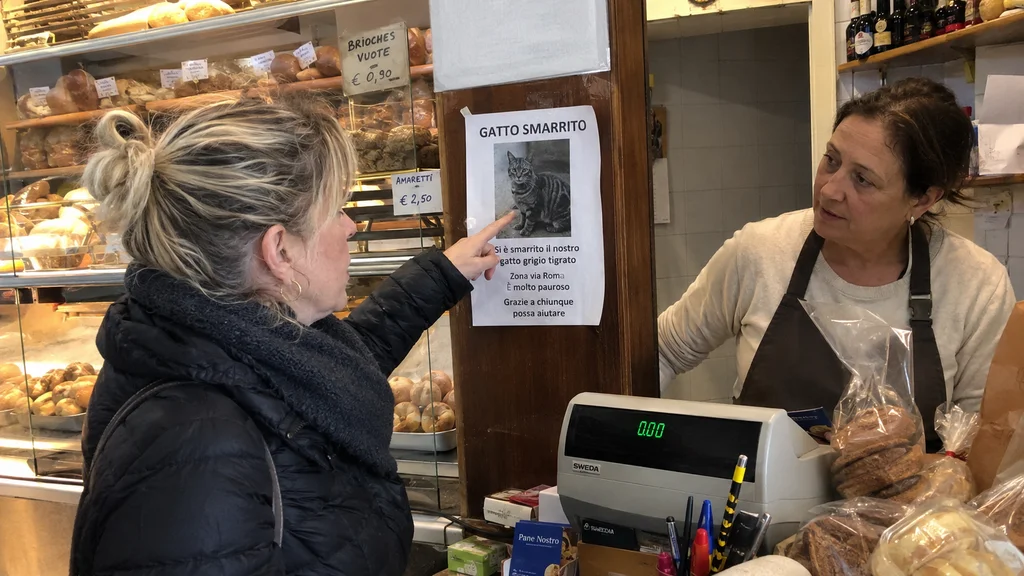 Volantino per animale smarrito appeso vicino alla cassa di un panificio di quartiere
